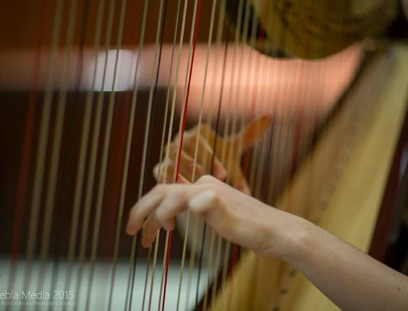 Harpist Perth