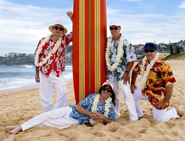 BEACH BOYS TRIBUTE BAND